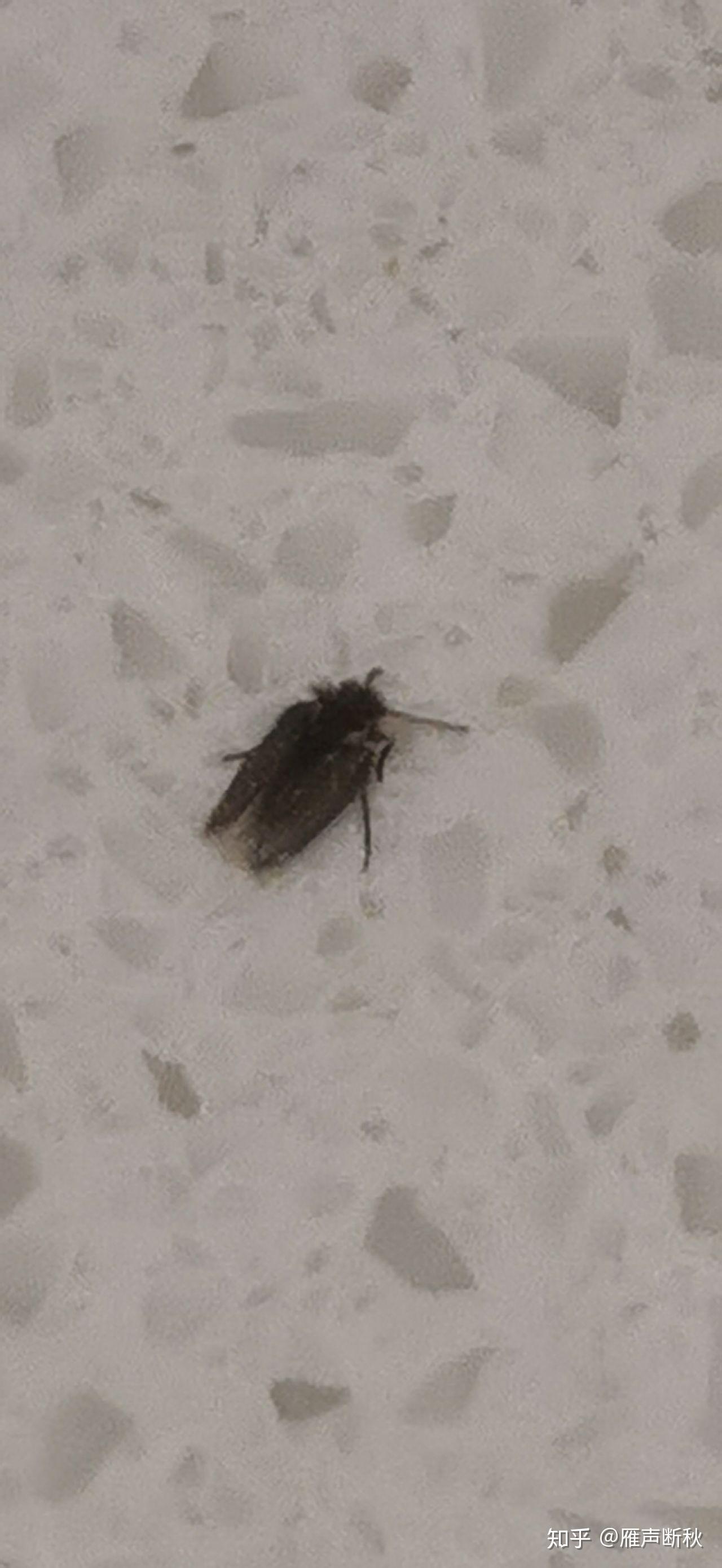娱乐生活 第125页