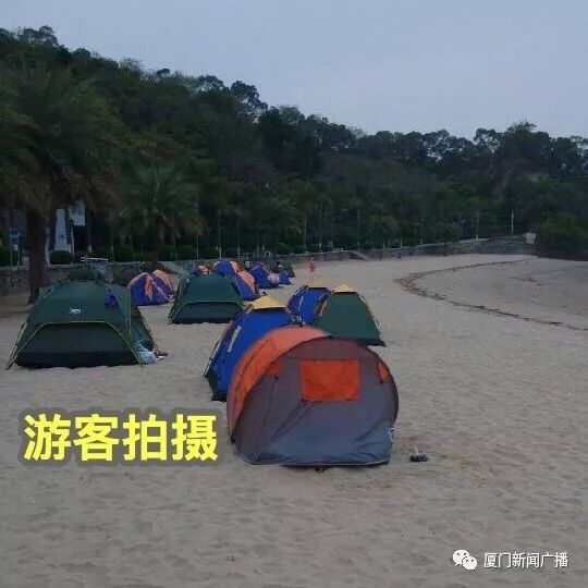 游戏专题 第113页