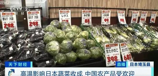 游戏专题 第127页