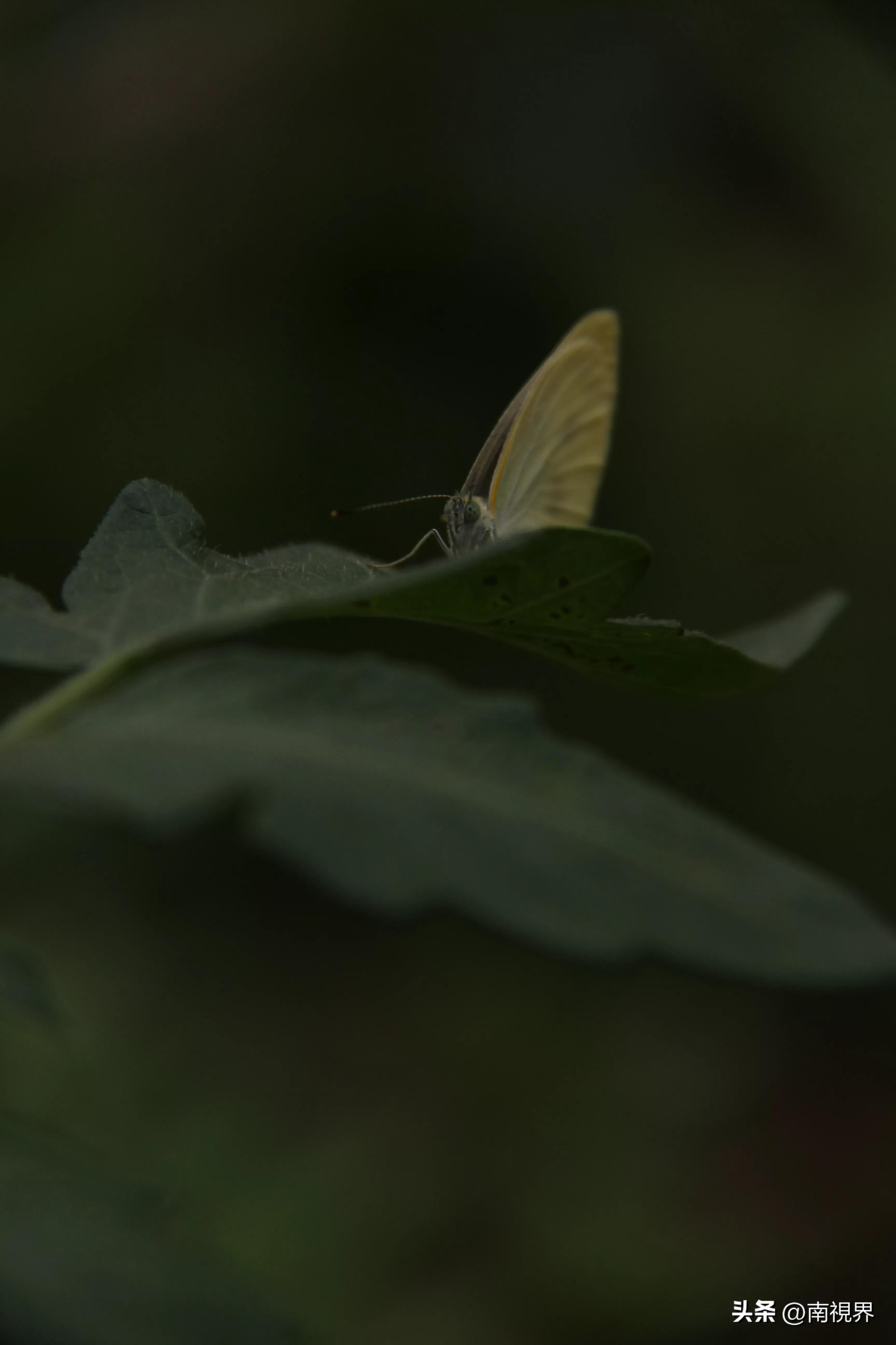 娱乐生活 第173页