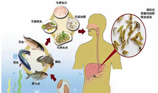 游戏专题 第132页