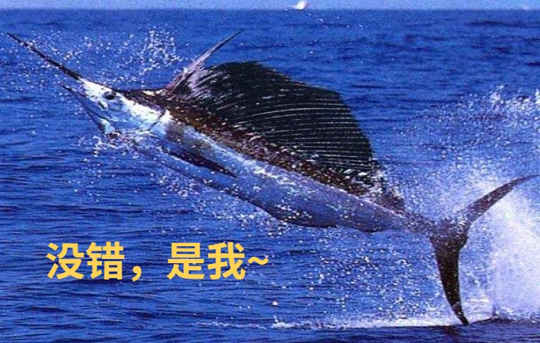 港澳新闻 第30页
