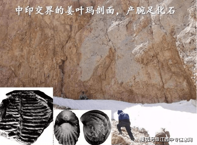 地方新闻 第27页